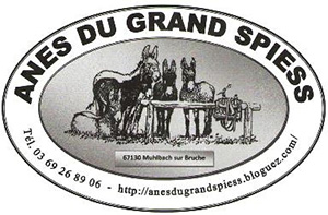 Logo Anes Du Grand Spiess